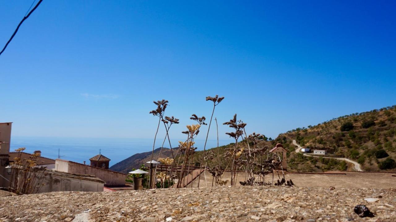 Casa Amigos Sorvilan - La Almendra Sorvilán Exterior foto