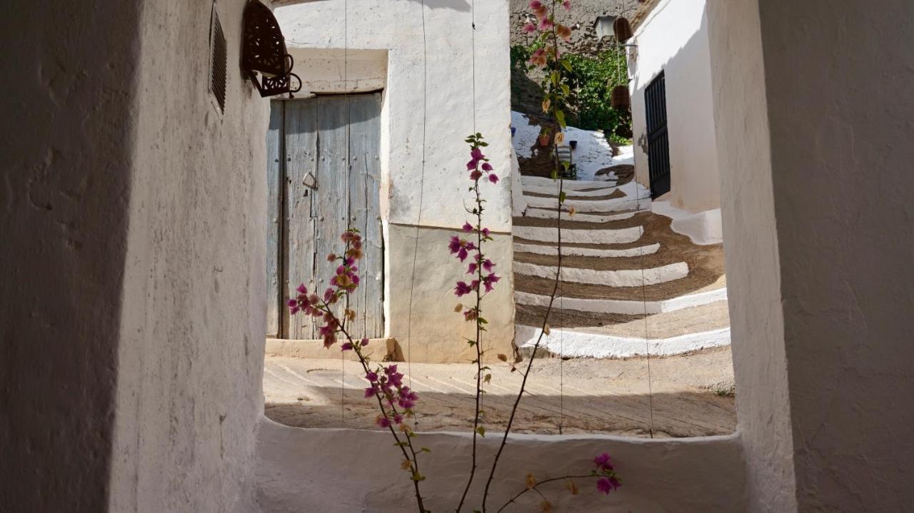 Casa Amigos Sorvilan - La Almendra Sorvilán Exterior foto